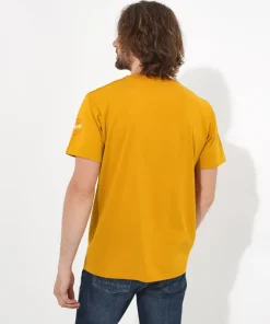 Bear Rock Tee