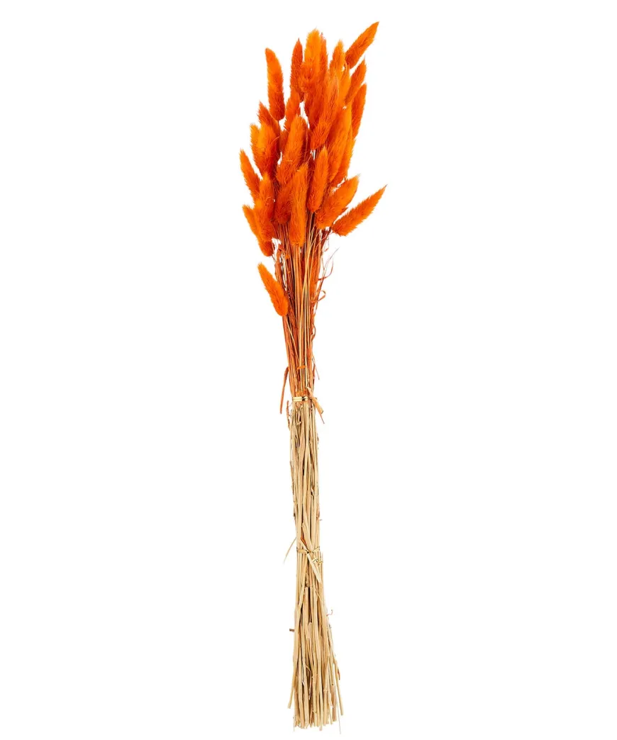 Beautiful Faux Bunny Tail Grass